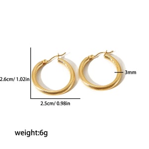 1 Pair Simple Style Solid Color Ring Shape Stainless Steel  Gold Color  Women's Hoop Earrings h5 Picture3